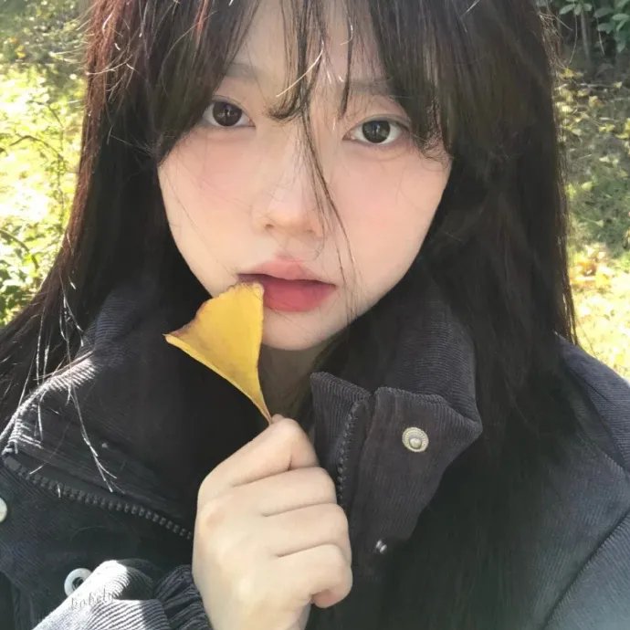 甄嬛传
