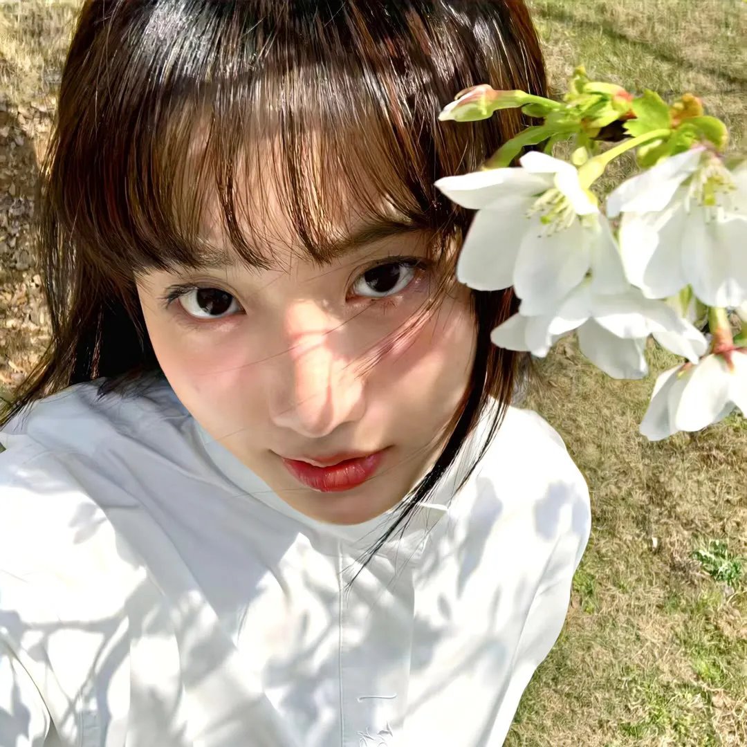 龙虎干戈